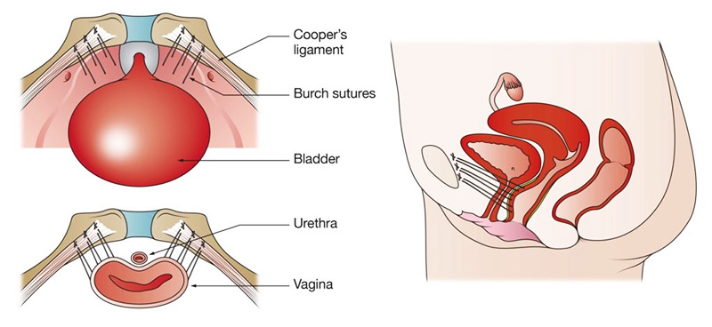 Courses Images