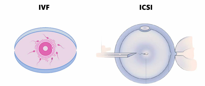 Courses Images